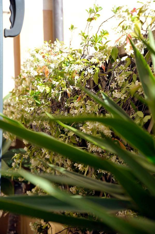 Giardino In Citta; Centralissimo Sanremo Dış mekan fotoğraf